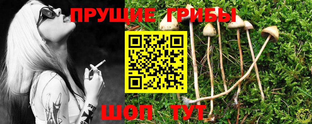 сколько стоит  Галлюциногенные грибы Magic Shrooms  Вход с VPN  Ярцево 